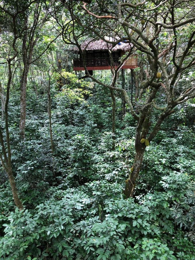 Pepper Trail Sultan Bathery Exterior foto