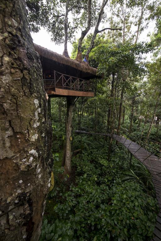 Pepper Trail Sultan Bathery Quarto foto