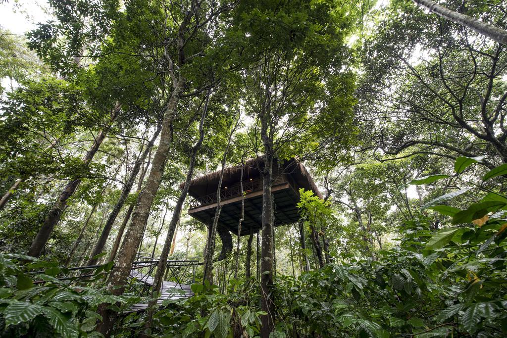 Pepper Trail Sultan Bathery Quarto foto